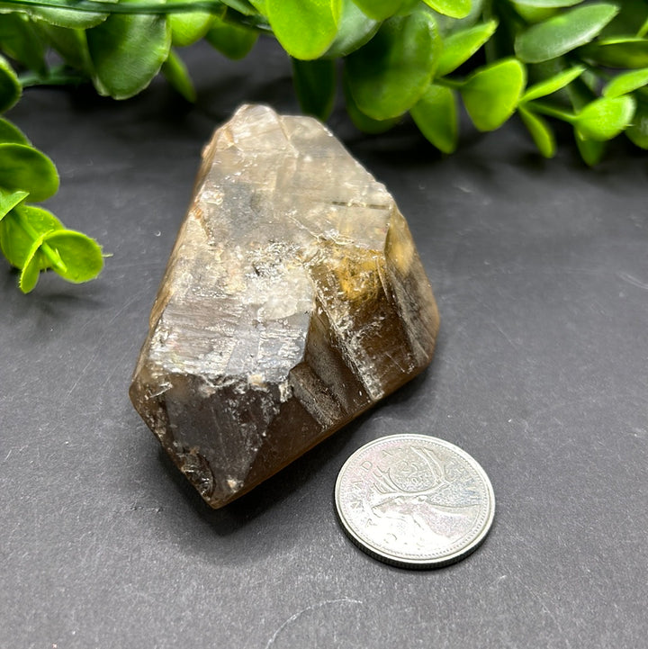 Natural Citrine Point (L)