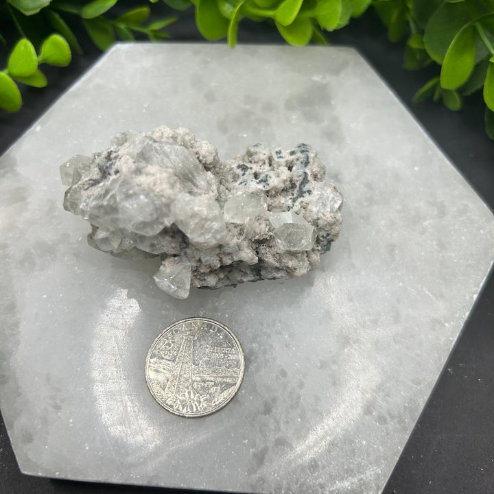 Diamond Apophyllite Zeolite Cluster(#8)