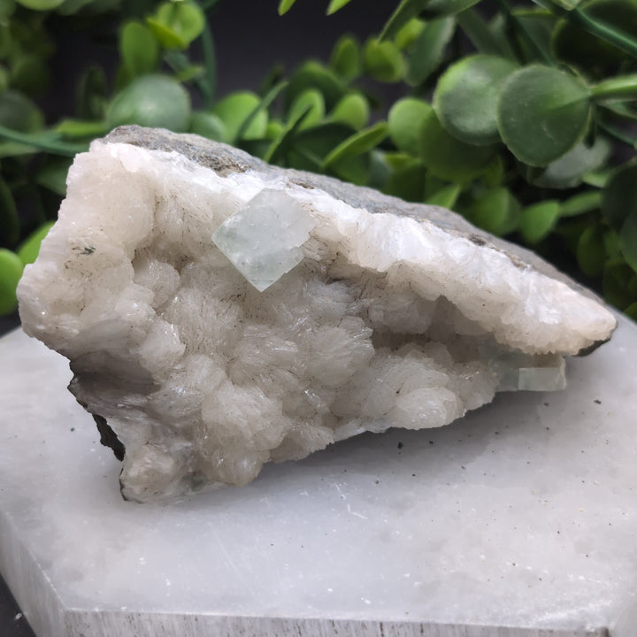 Apophyllite Zeolite Cluster(#14)