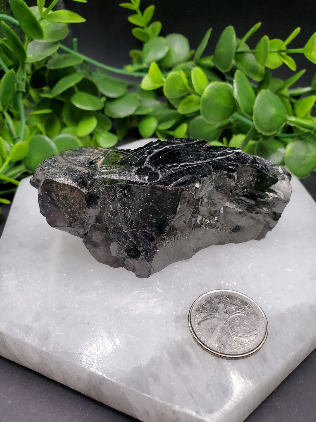 Elite Russian Shungite Rough Cut #3