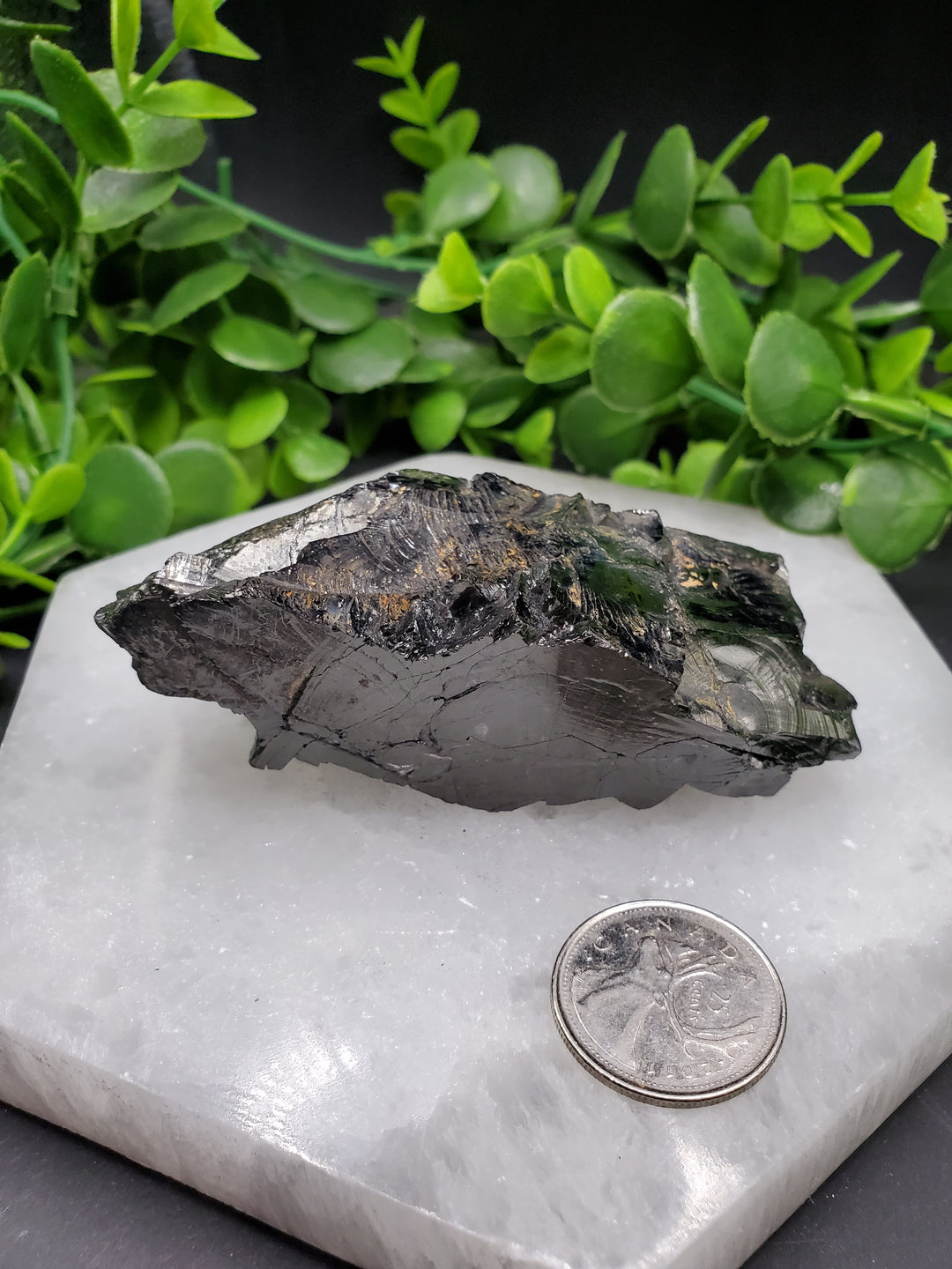 Elite Russian Shungite Rough Cut #3