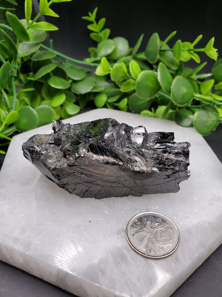 Elite Russian Shungite Rough Cut #3