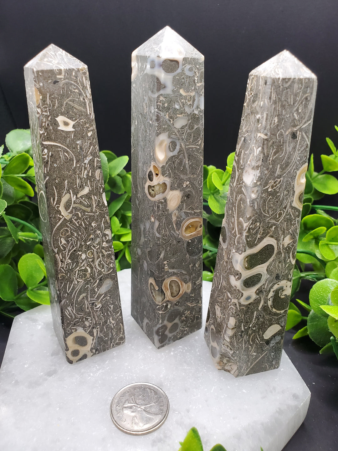 Turritella Agate Obelisks