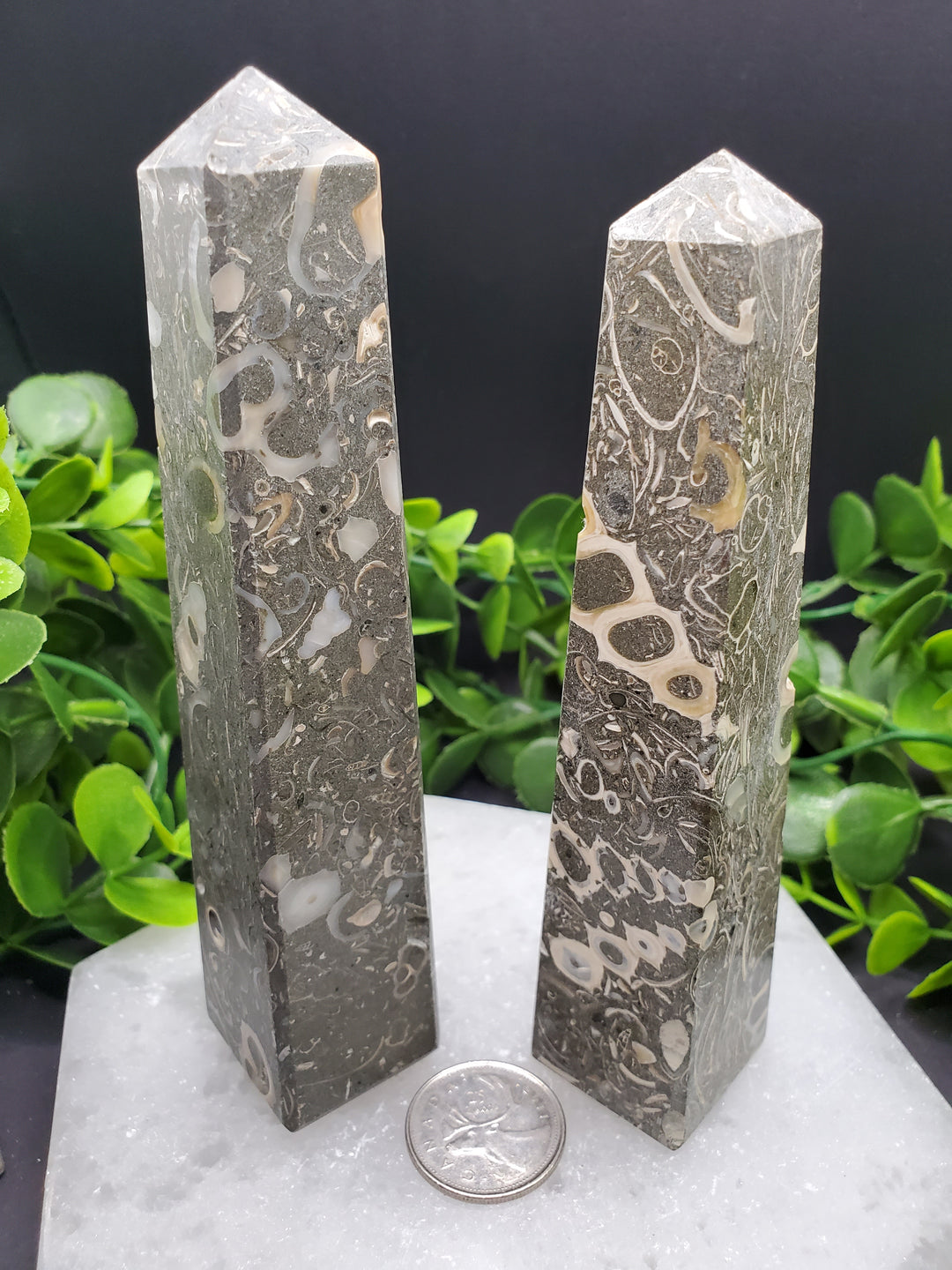 Turritella Agate Obelisks