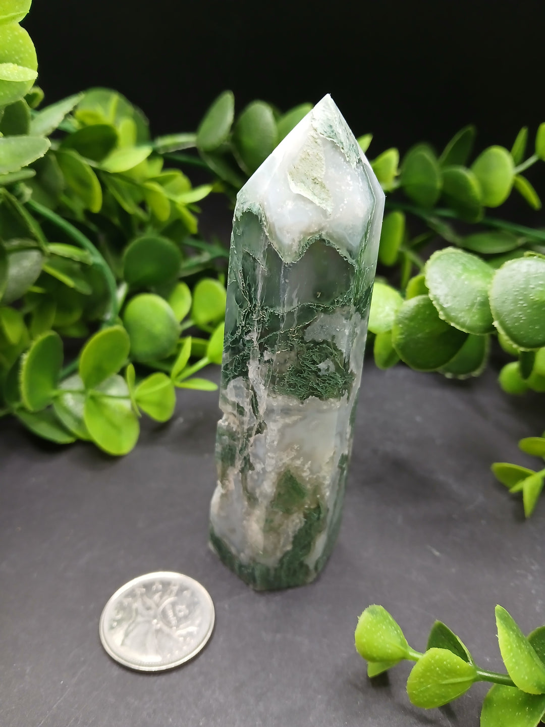 4" Moss Agate Polished Point #1