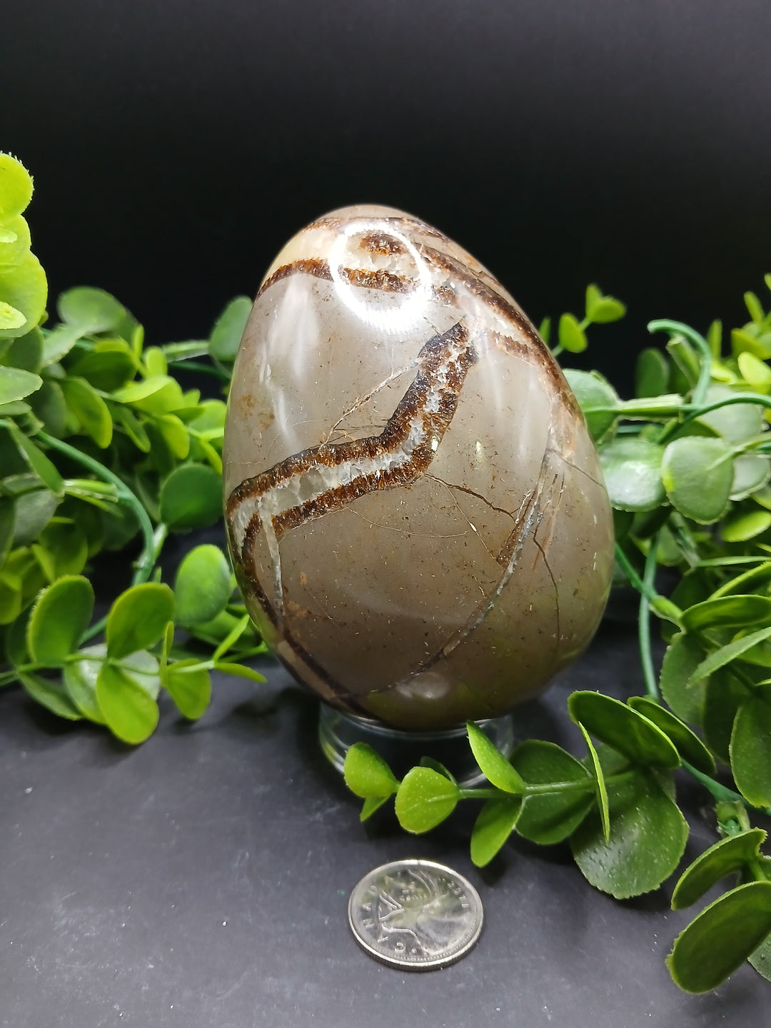 Septarian Egg (2 lb)