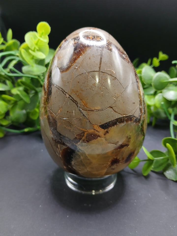 Septarian Egg (2 lb)