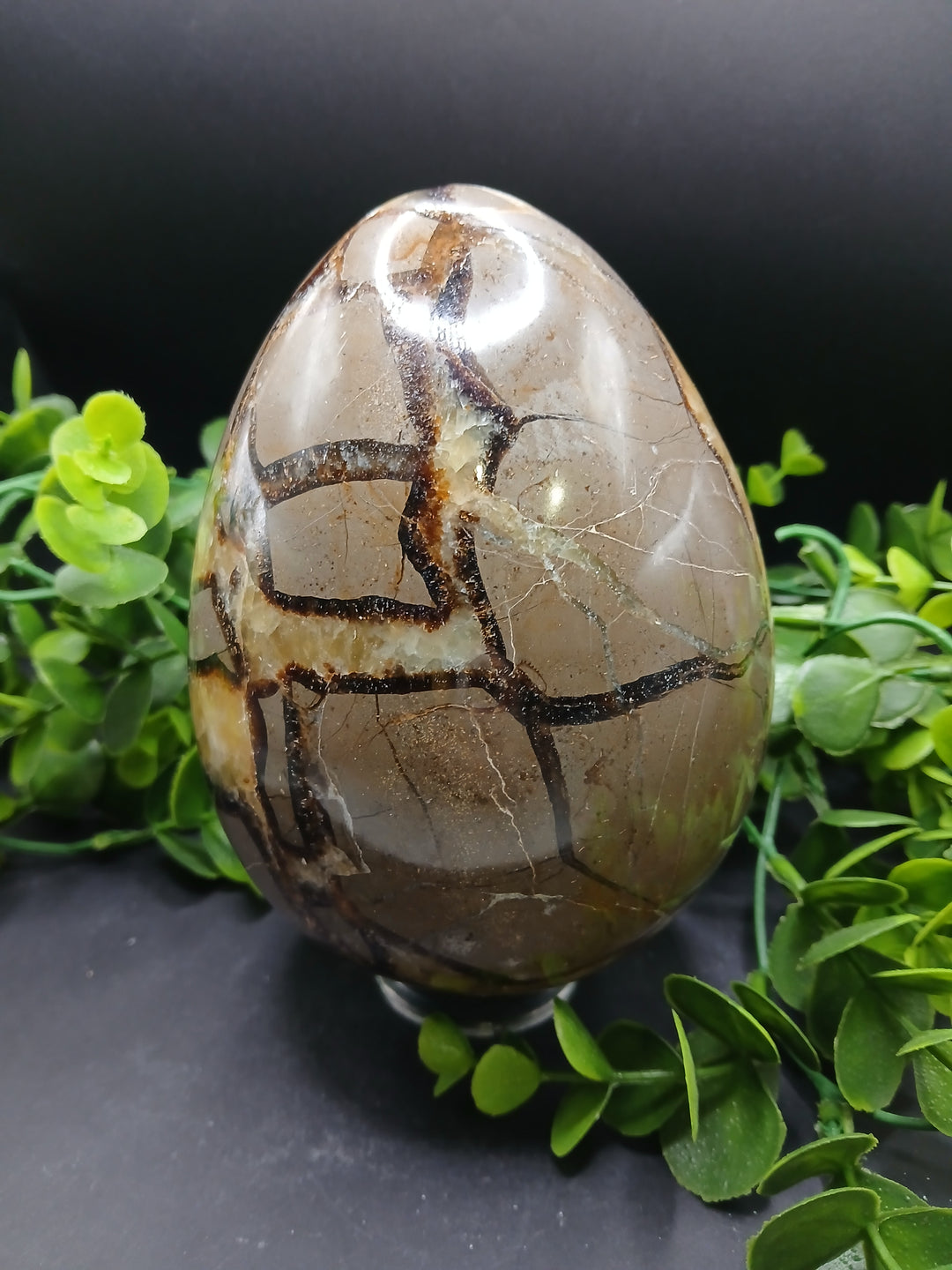 Septarian Egg (4.85 lb)