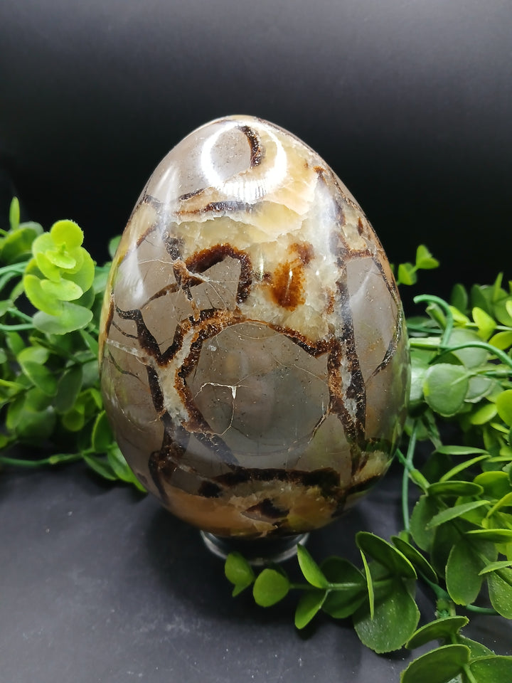 Septarian Egg (4.85 lb)