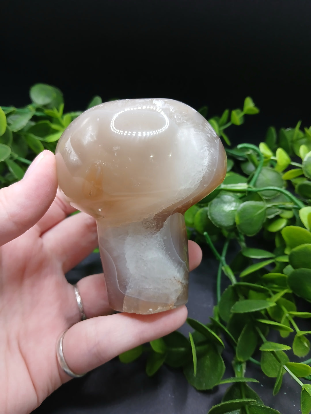 Agate Druzy Mushroom #1