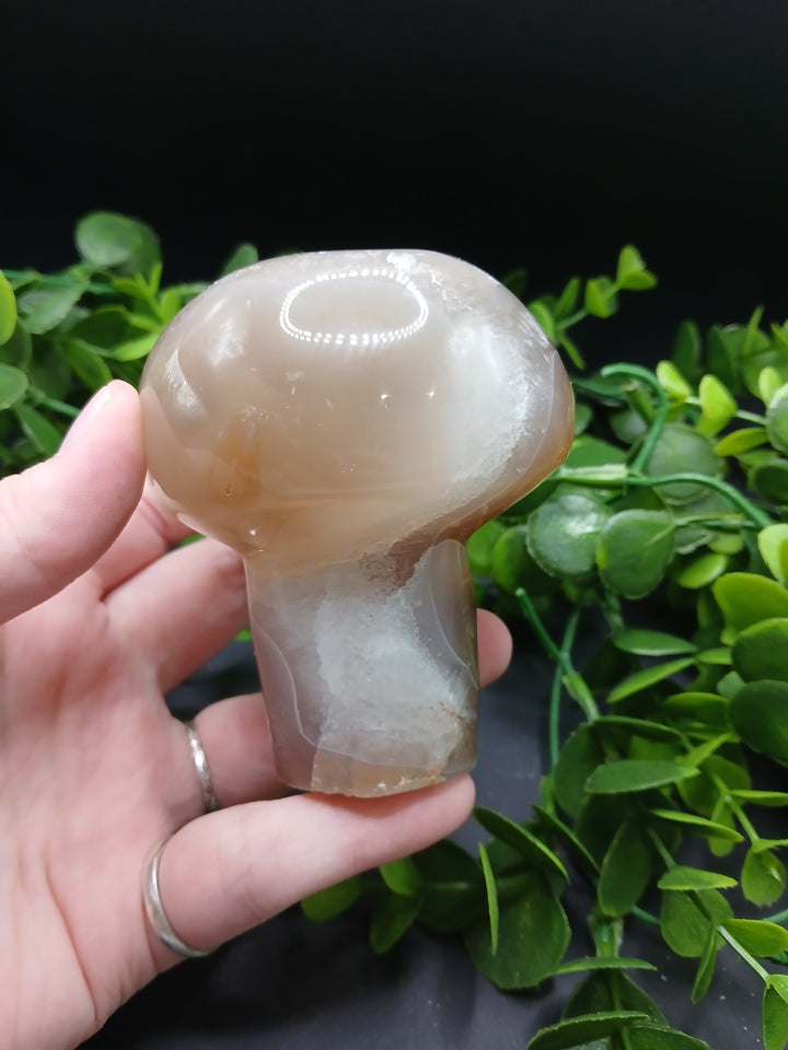 Agate Druzy Mushroom #1