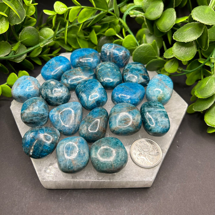 Blue Apatite Tumbled Stone