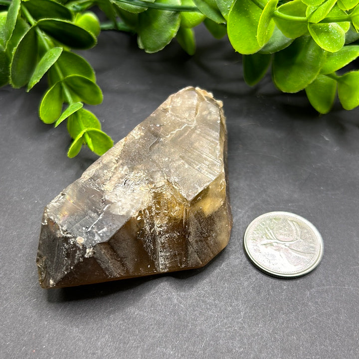 Natural Citrine Point (L)