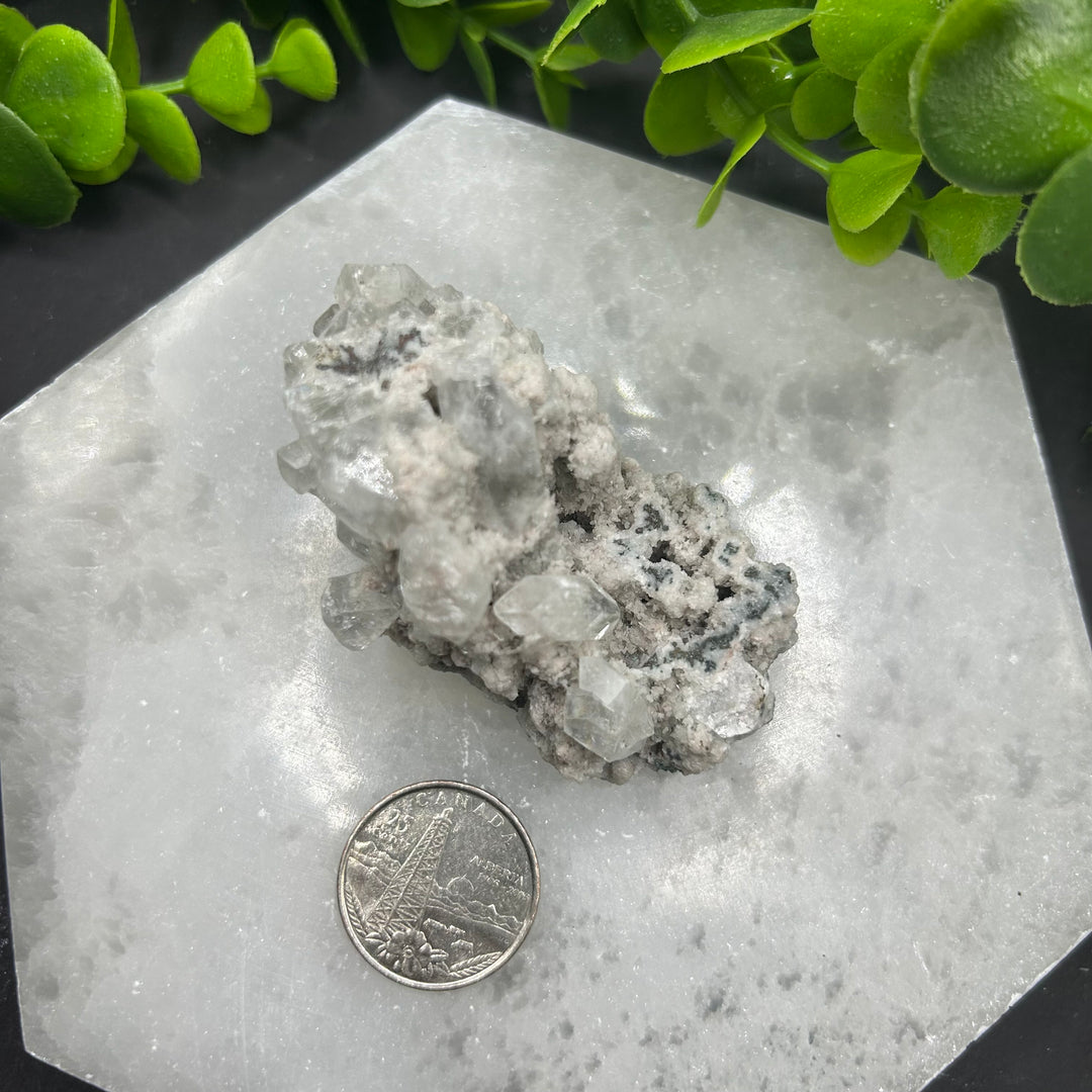 Diamond Apophyllite Zeolite Cluster(#8)