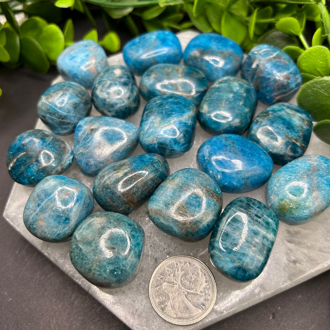 Blue Apatite Tumbled Stone