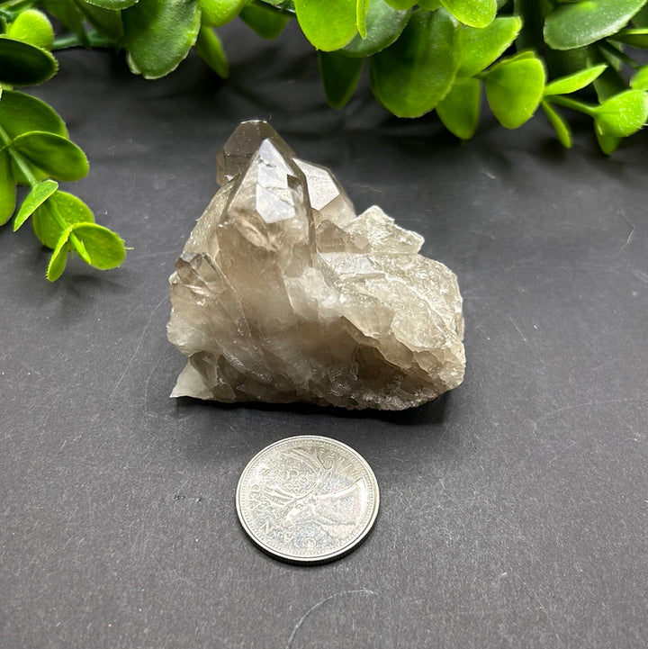 Smokey Quartz Cluster