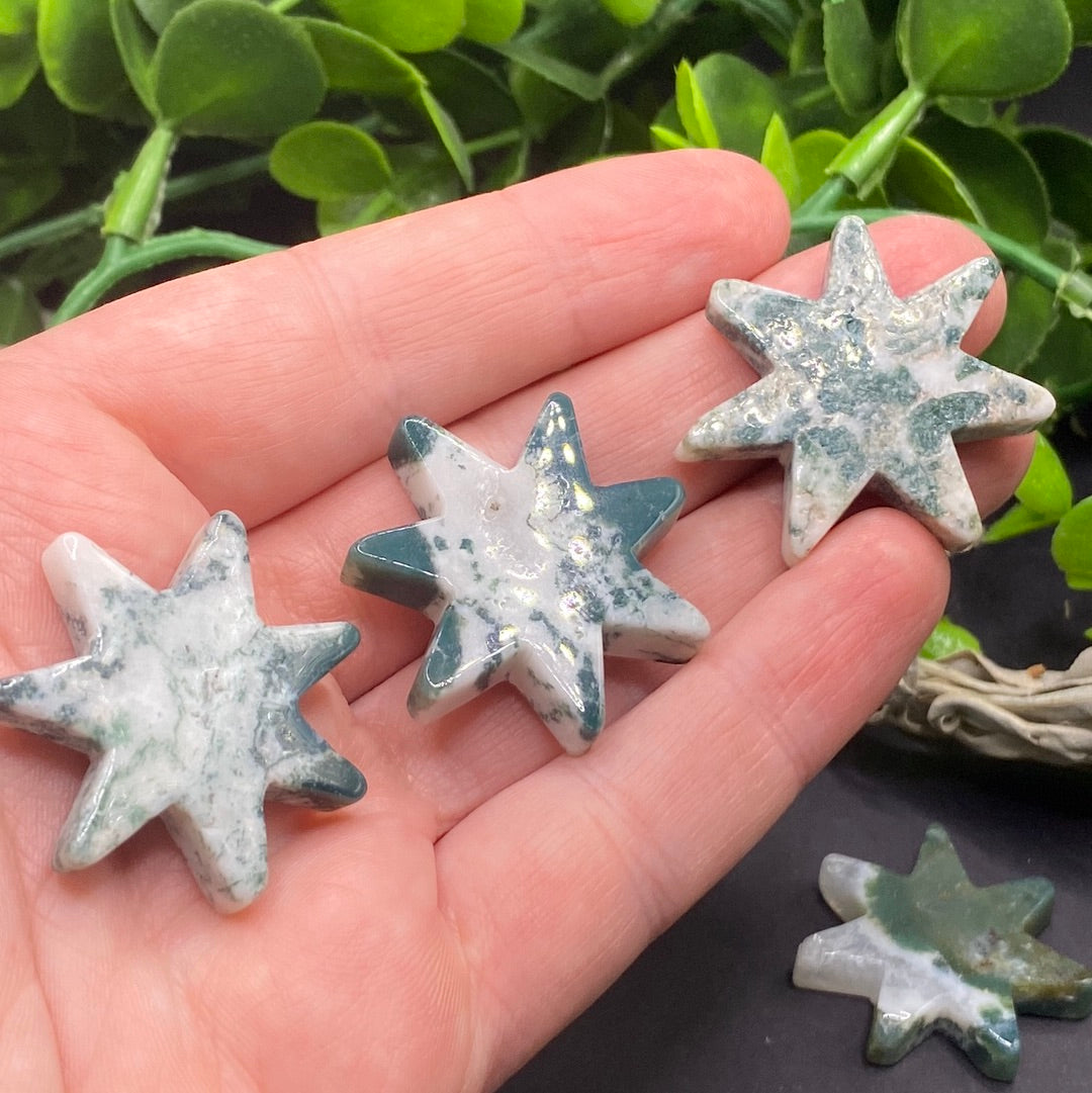 1.25” Seven Pointed Tree Agate Star