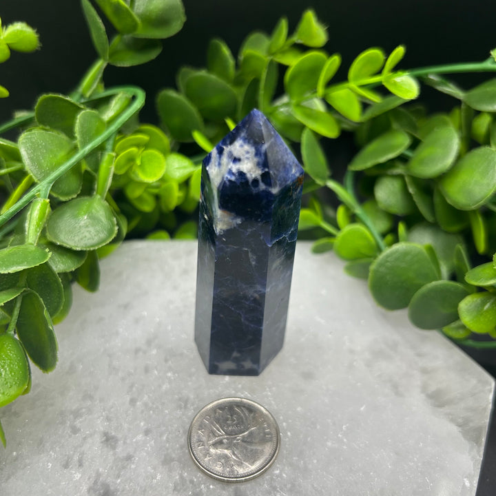 Sodalite Polished Point (#5)