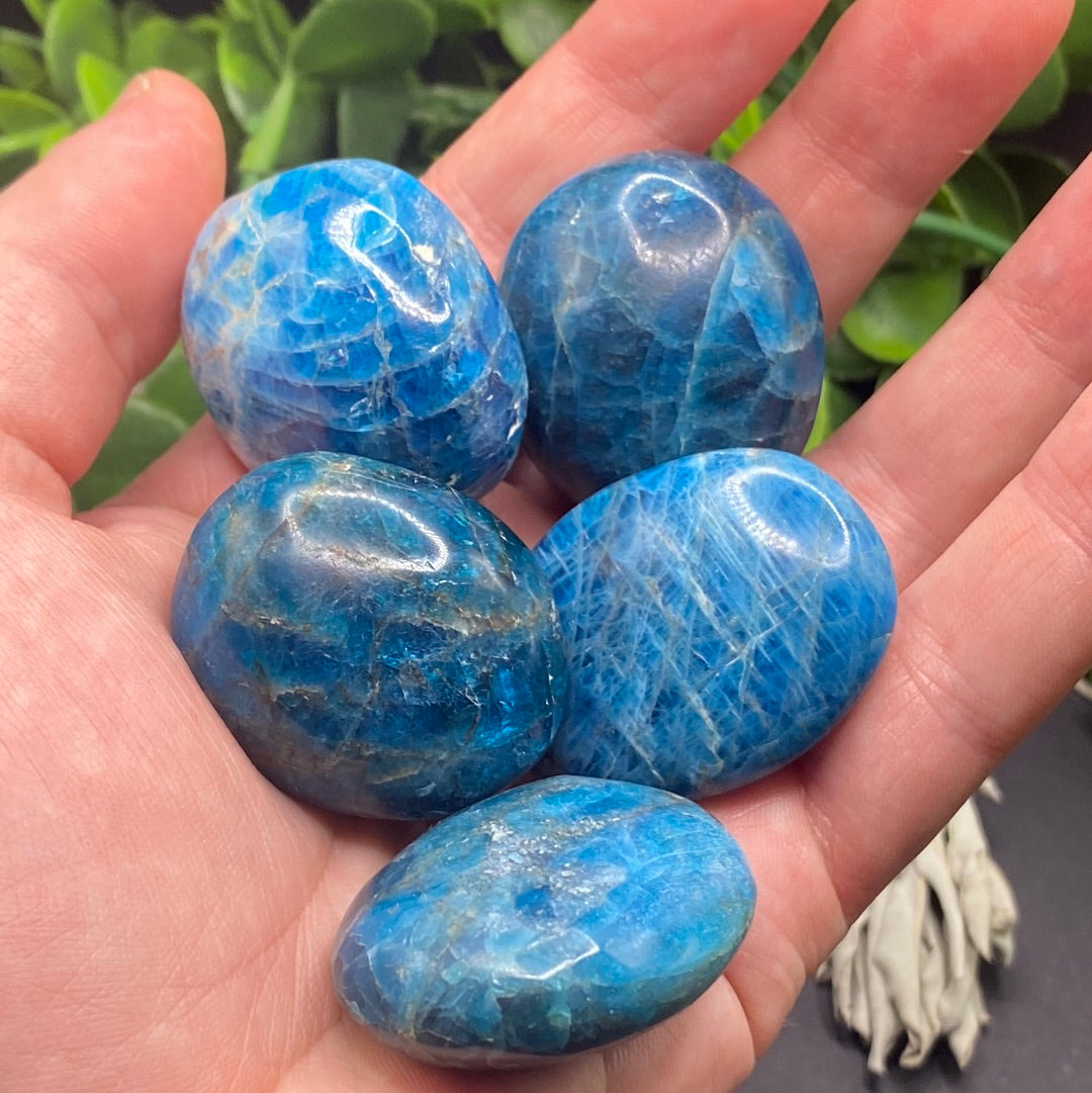 Blue Apatite Polished Palm Stone (S)