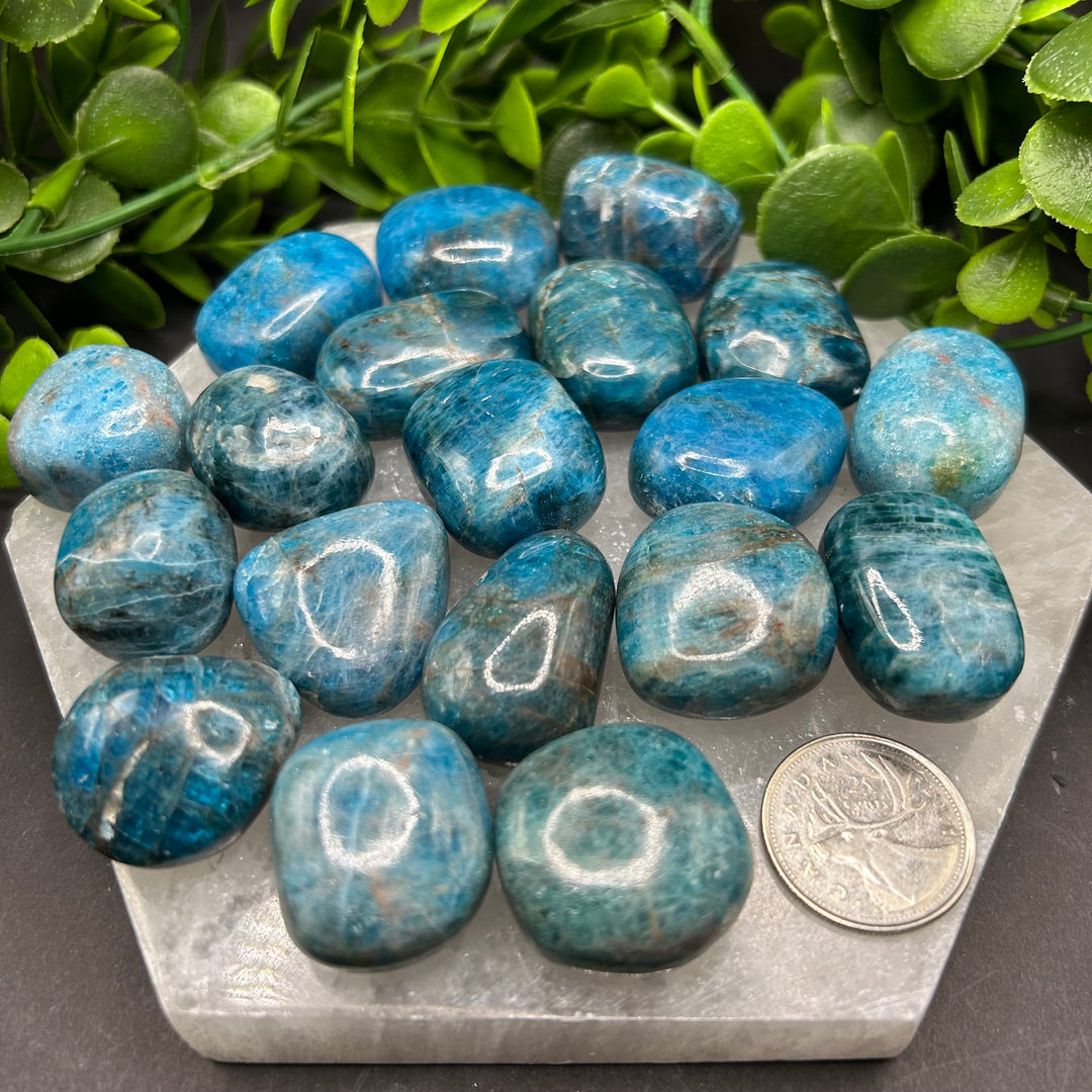 Blue Apatite Tumbled Stone