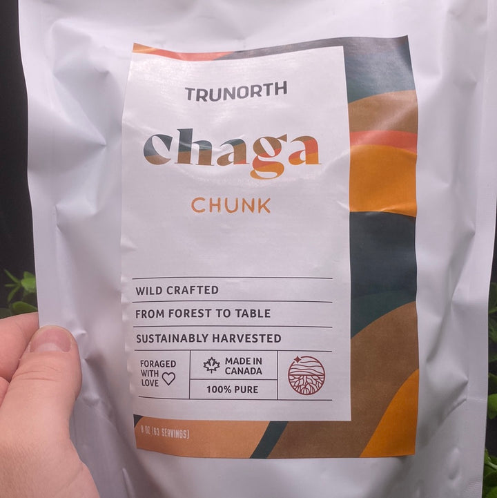 Chunk Chaga Tea