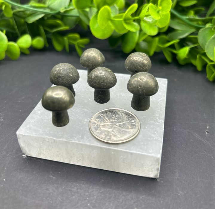 Pyrite Mini Mushroom