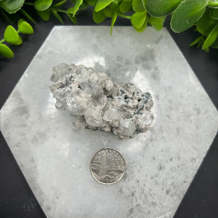 Diamond Apophyllite Zeolite Cluster(#8)