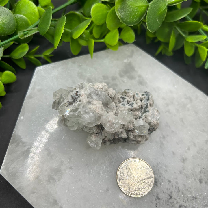 Diamond Apophyllite Zeolite Cluster(#8)