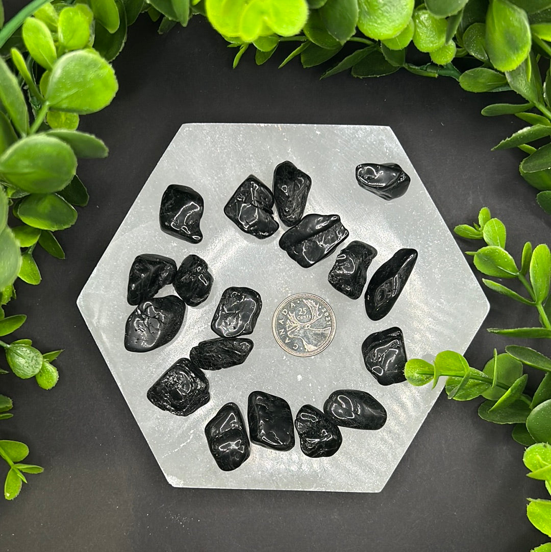 Black Tourmaline Tumbled Stone (S-M)