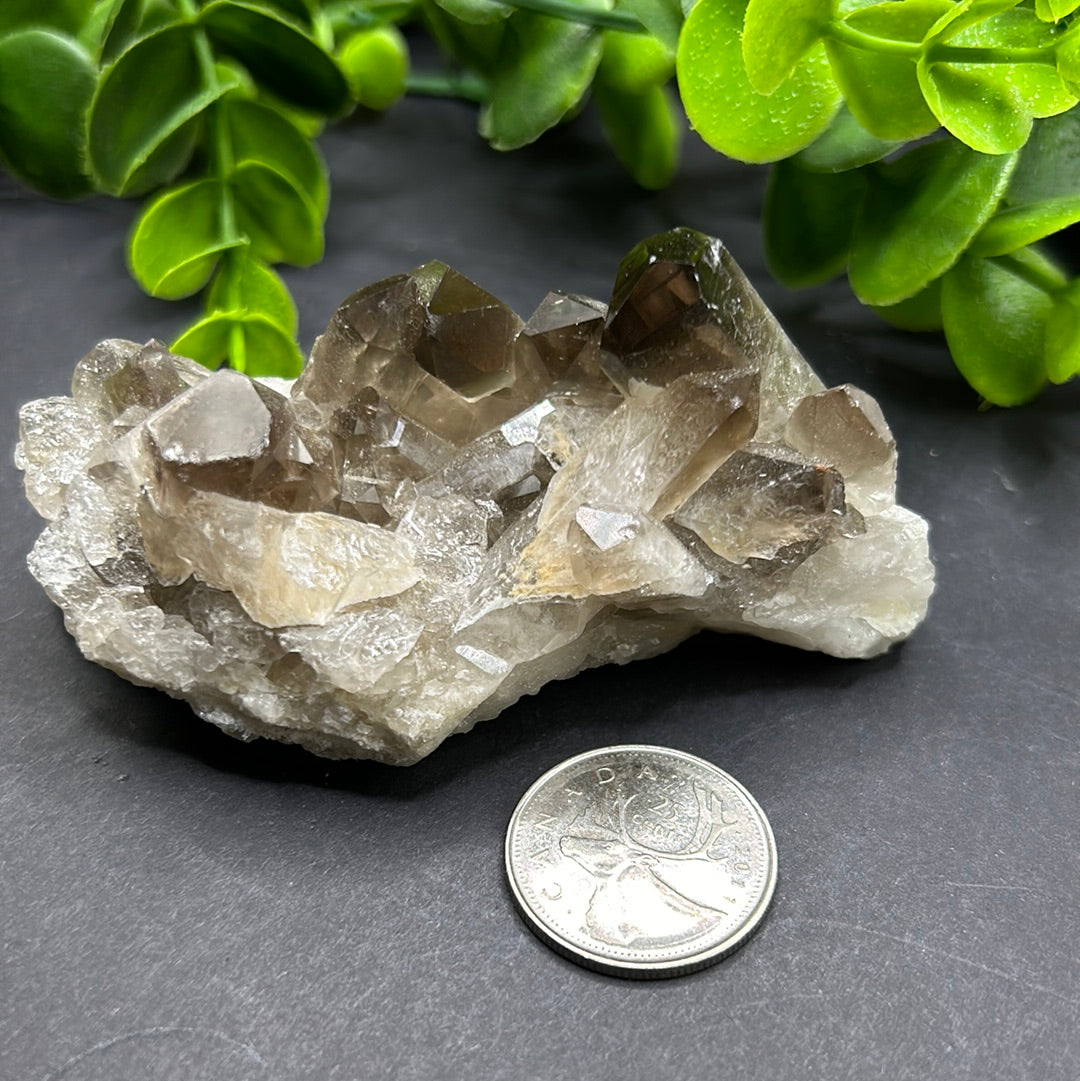 Smokey Quartz Cluster