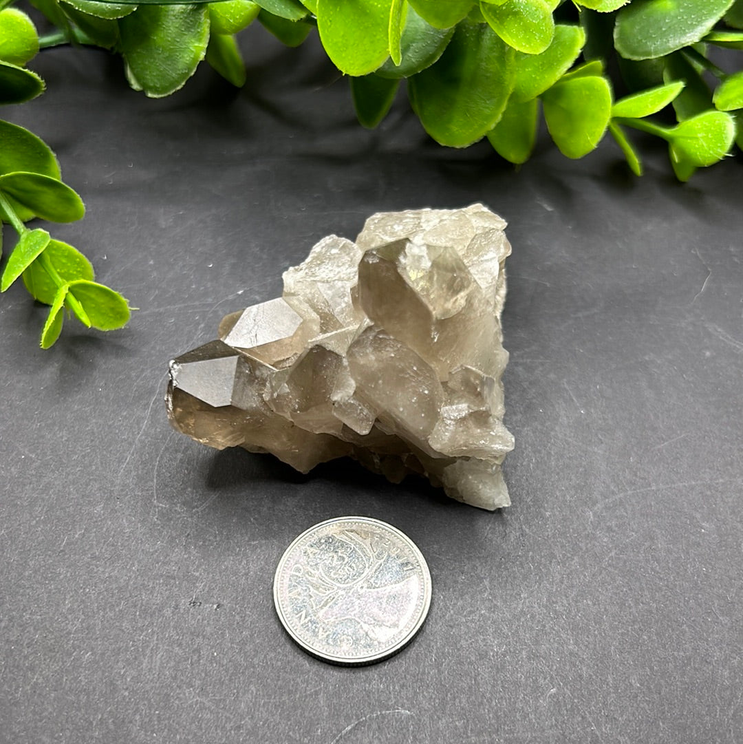 Smokey Quartz Cluster