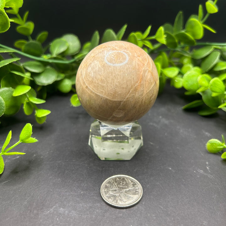 Moonstone Sphere 50mm