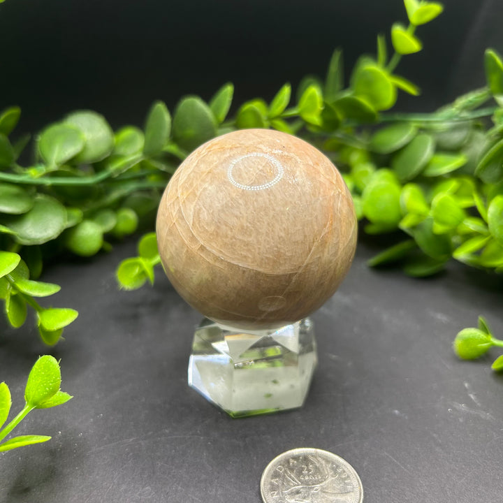 Moonstone Sphere 50mm