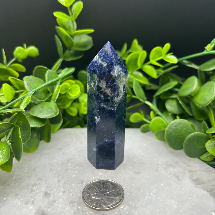 Sodalite Polished Point (#3)