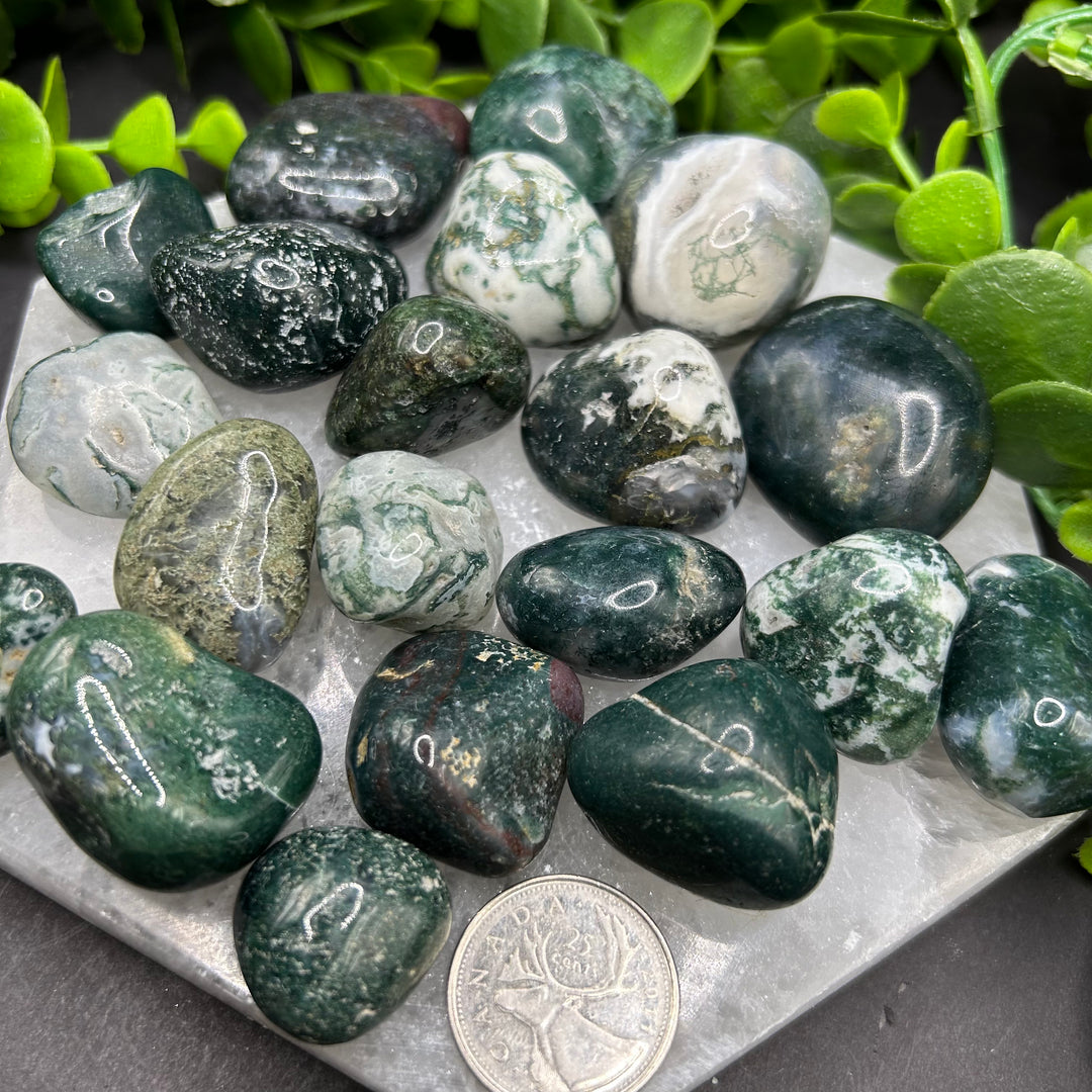 Moss Agate Tumbled