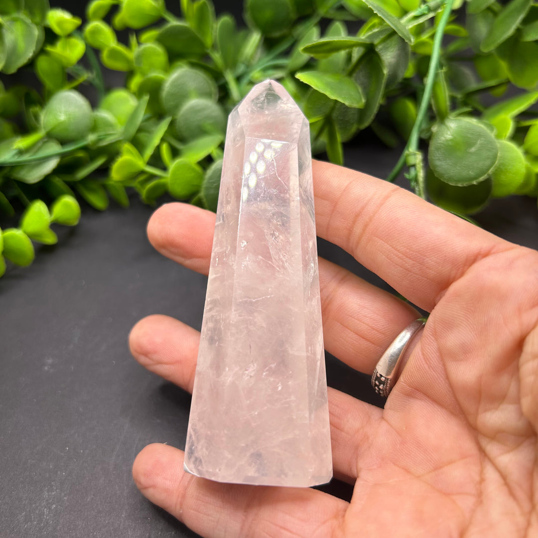 Rose Quartz Polished Point (#12)