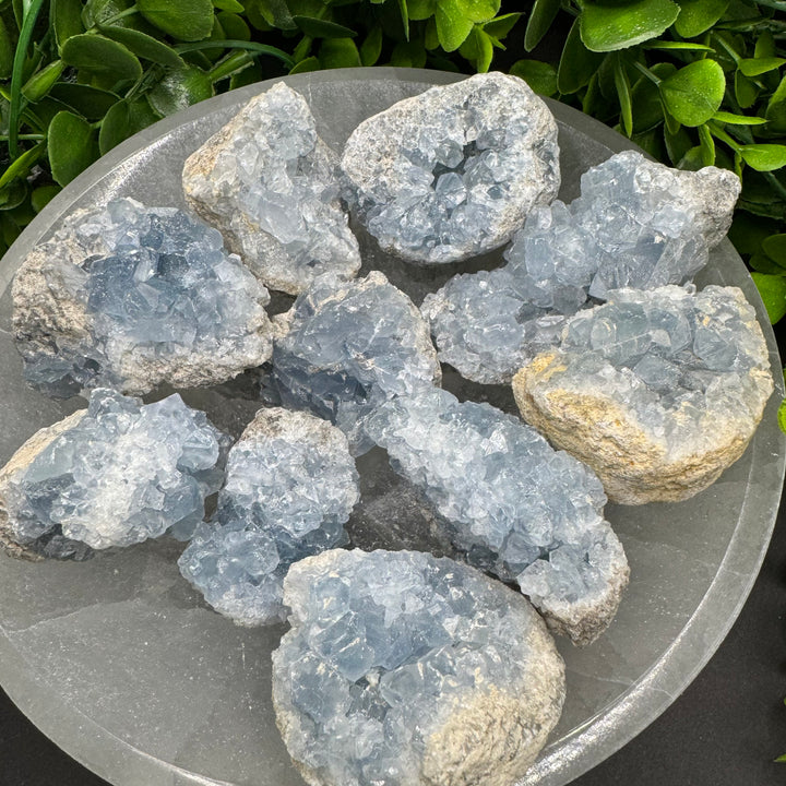 Celestite Geode Chunks (M)