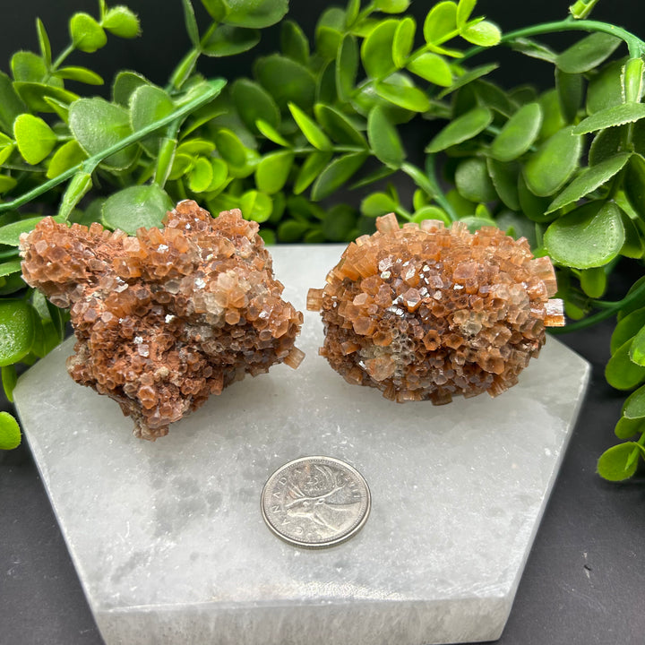 Aragonite Clusters (L)