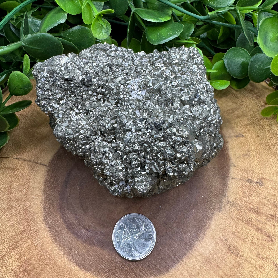 Pyrite Cluster #6 - 1064g