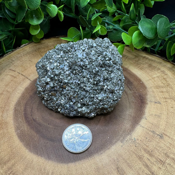 Pyrite Cluster #1 - 566g