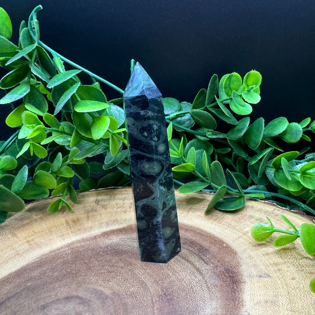 Kambaba Jasper Polished Point #3