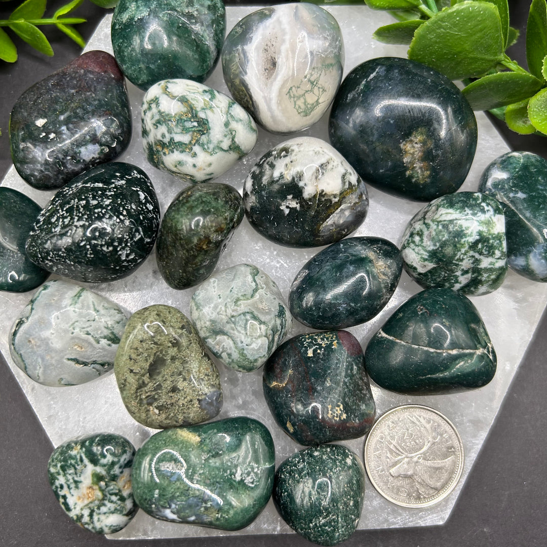 Moss Agate Tumbled