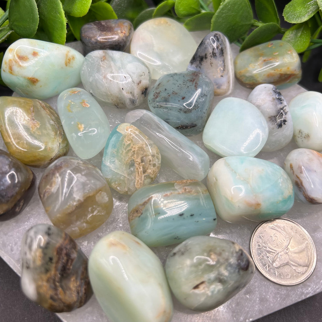 Blue Opal Tumbled Stone (M-L)