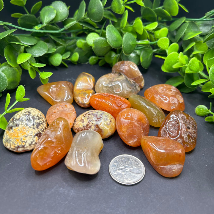 Carnelian Tumbled (L)