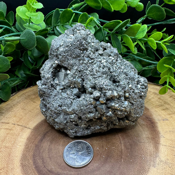 Pyrite Cluster #4 - 1266g