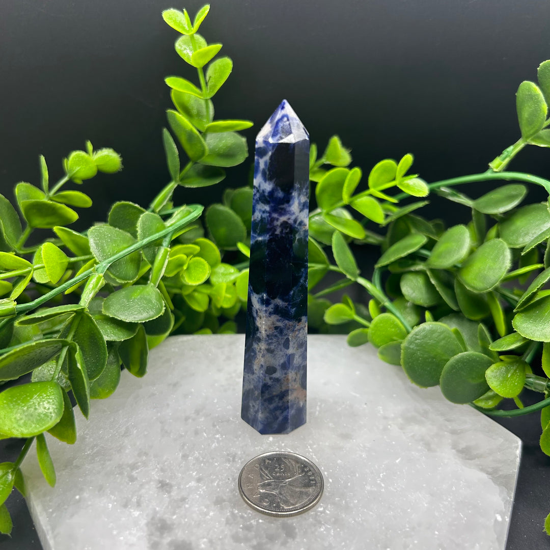 Sodalite Polished Point (#2)