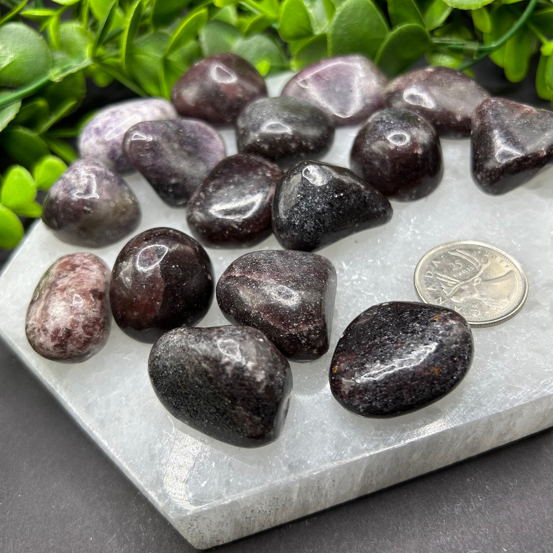 Dark Lepidolite Tumbled Stones