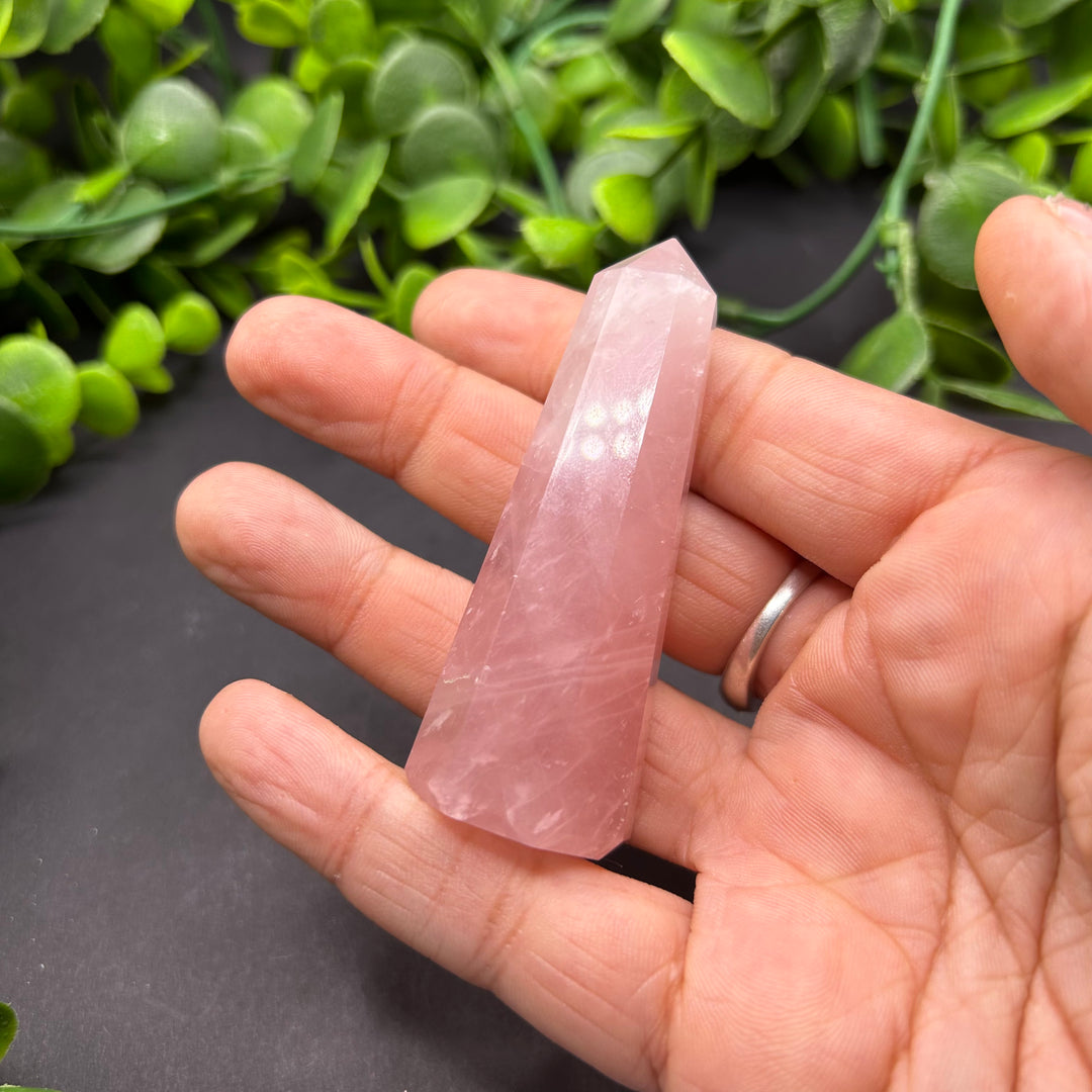 Rose Quartz Polished Point (#19)