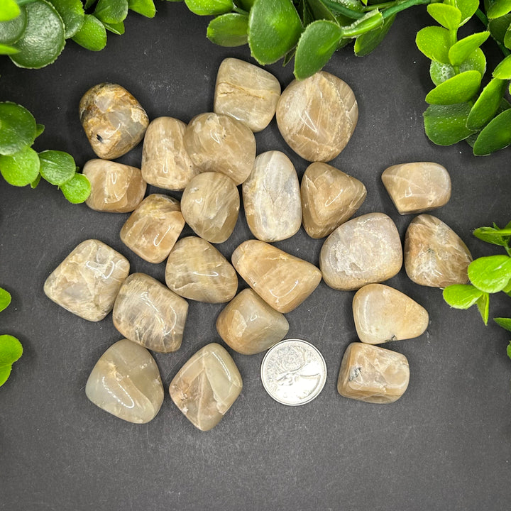 Moonstone Tumbled