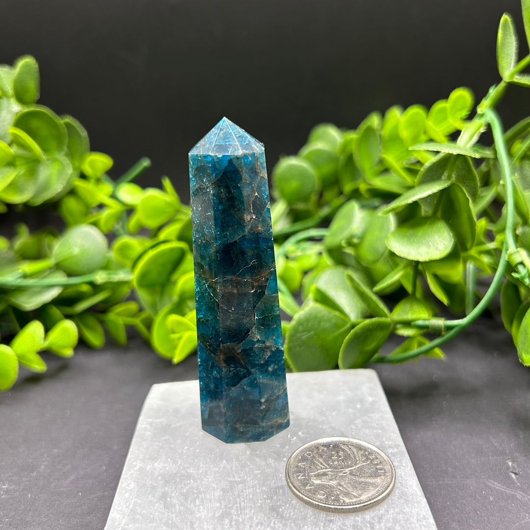 High Quality Blue Apatite Polished Point (#2)